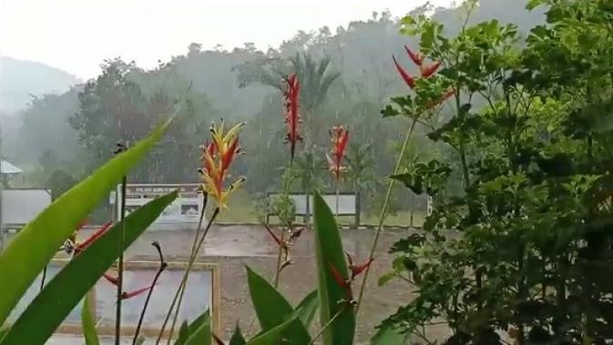 Hujan Guyur Kalimantan Tengah, Satgas Karhutla: Terima Kasih Ya Allah