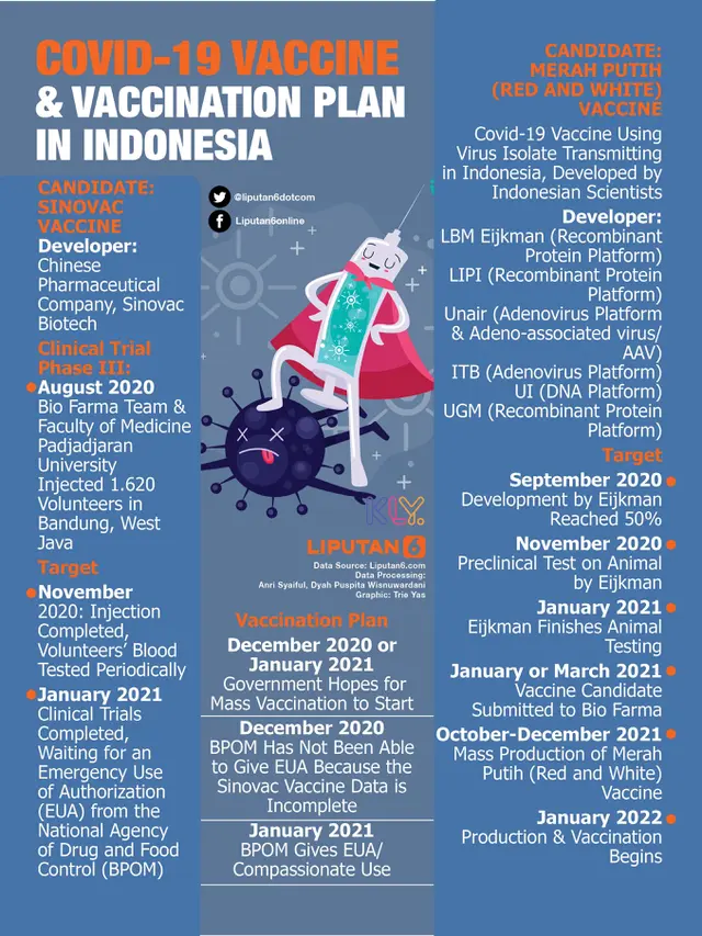 Infographic: Covid-19 Vaccine and Vaccination Plan in Indonesia. (Liputan6.com/Triyasni)