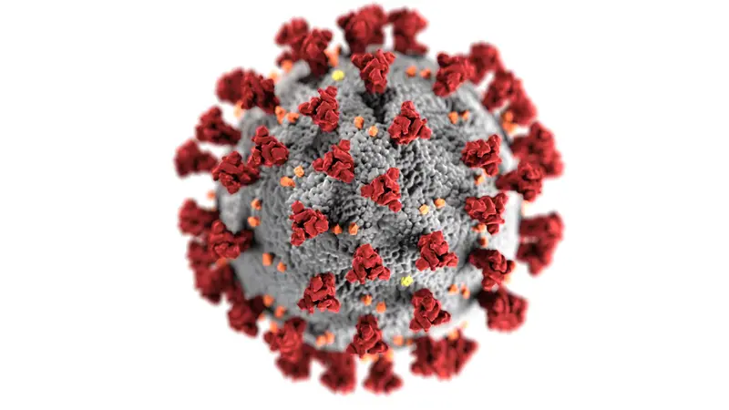 Virus COVID-19 Omicron