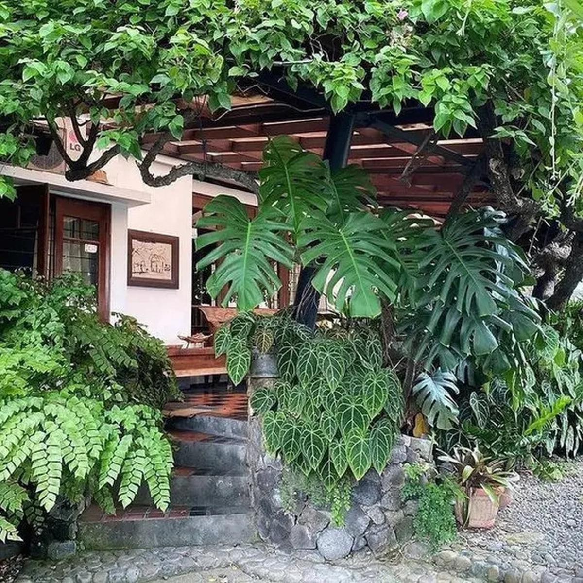 Model Taman Minimalis di Dalam Rumah yang Bikin Hunian Asri, Simak Rekomendasinya