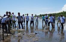 BPKP dan DLHD Sulut Kolaborasi Perkuat Penanaman Mangrove Jaga Ekosistem Pesisir