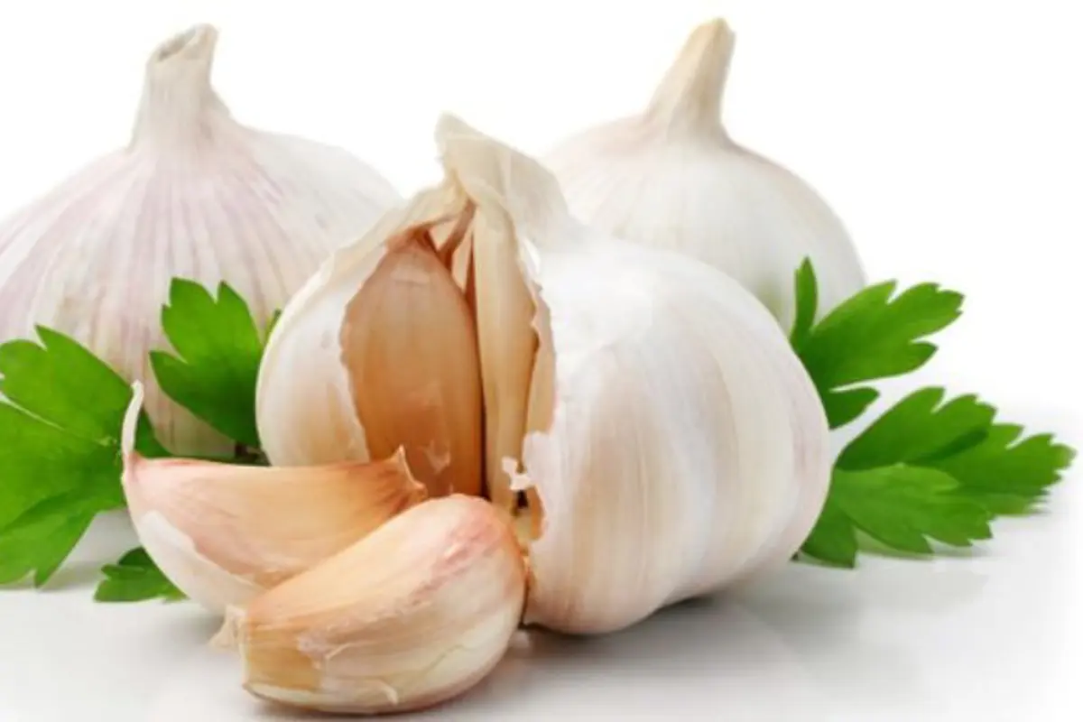 Miliki Jerawat Batu? Tuntaskan dengan 3 Bahan Ini