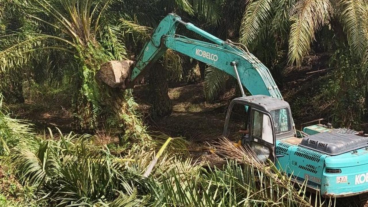 Trivia: Anggaran Kementerian Kehutanan 2026 Rp6 Triliun Diproyeksi Serap Investasi Rp21 Triliun