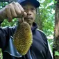 Pembudidayaan durian Banyumas langka itu sedang diupayakan meski belum menunjukkan hasil. (Liputan6.com/Aris Andrianto)