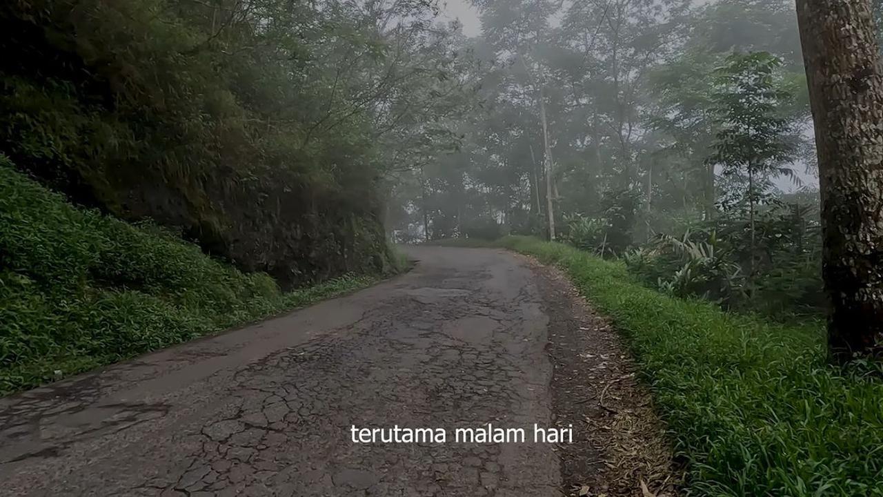 Jadi Tempat Munculnya Siluman Buaya