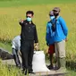 Mentan Syahrul Yasin Limpo Panen Raya di Bangka Selatan