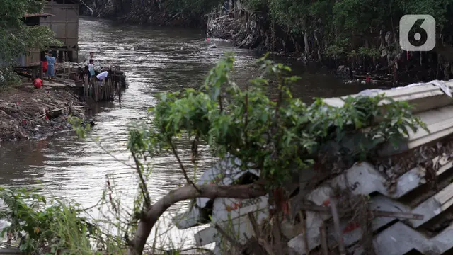 Normalisasi Ciliwung
