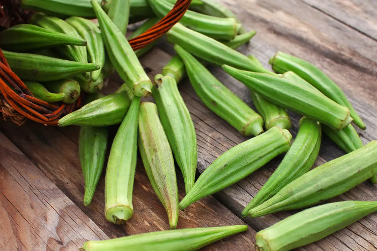 okra-kezo