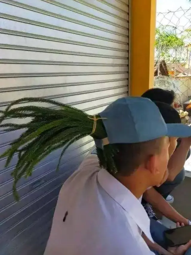 7 Potret Kocak Orang Pakai Rambut Palsu dari Tanaman Ini Absurd Banget