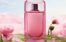 9 Rekomendasi Parfum Wanita Bikin Mood Naik, Mulai dari Harga Pelajar sampai Wanita Karir Aromanya Semerbak Wangi