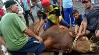 Sosok Ustaz Bengkulu yang Pingsan Usai Sembelih Sapi Jokowi