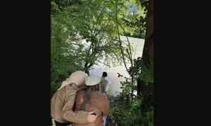 Unggahan Atalia Praratya bersama Ridwan Kamil dan putri mereka Camillia Laetitia Azzahra saat berada di tepi Sungai Aare di Swiss. (Instagram @ataliapr)