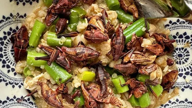 Salah satu sajian buatan Chef Joseph Yoon, spesialis hidangan berbahan dasar serangga. (Instagram/@brooklynbugs)