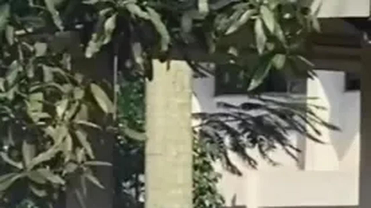 Didatangi Ojol