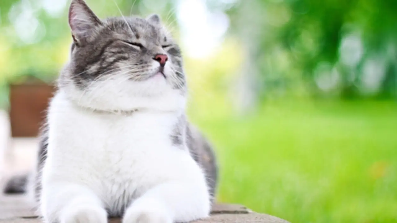 Copyright by Thinkstock.com