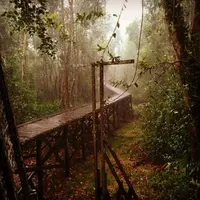 Hening sejenak, menutup mata, dan mendengarkan 'suara' alam Tanjung Puting.