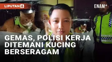 Media sosial dibuat gemas oleh aksi seorang polisi yang memberikan informasi kecelakaan. Perhatian warganet justru bukan pada informasi kecelakaan yang disampaikan, namun tertuju pada kucing yang menemani polisi. Seakan totalitas tampil di kamera, po...