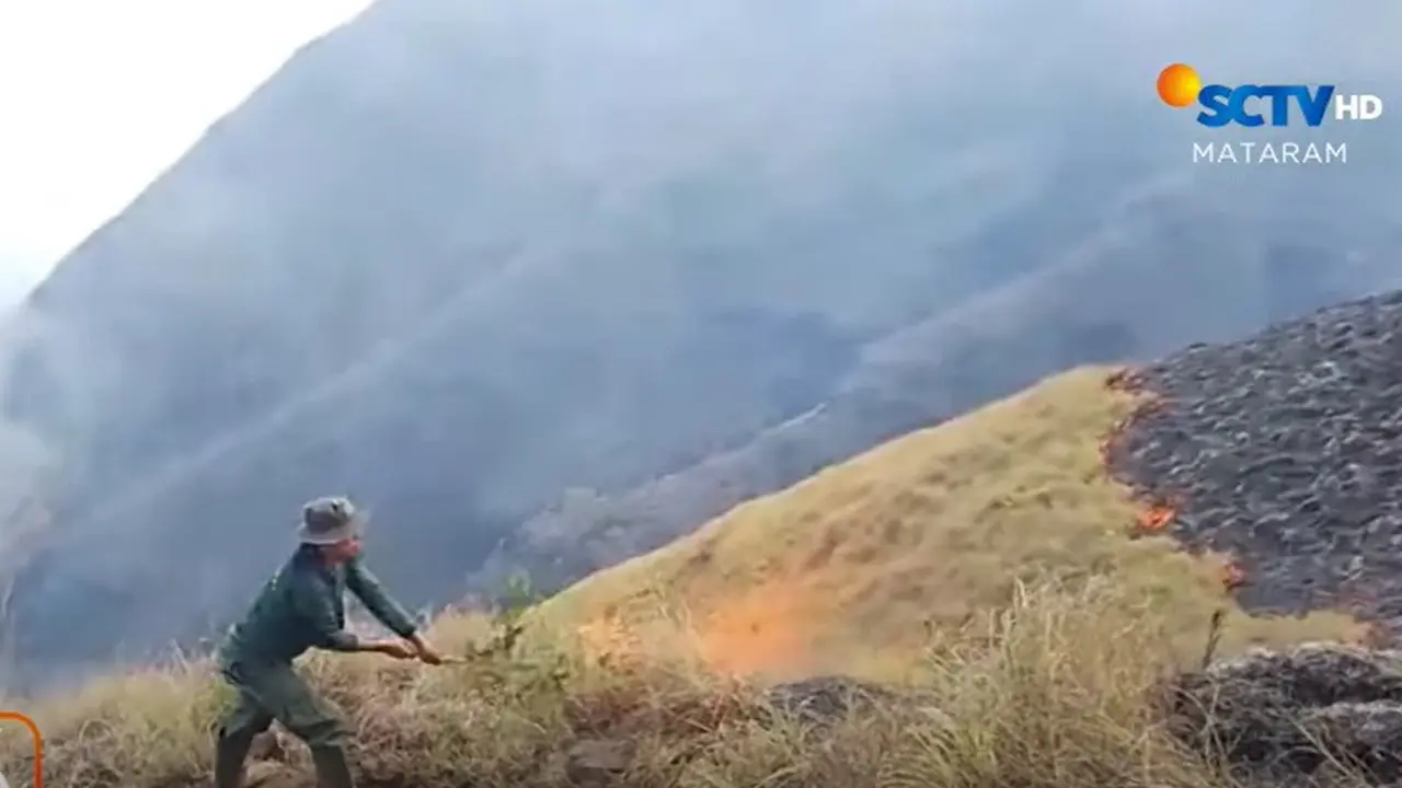 kebakaran Bukit Anak Dara Rinjani