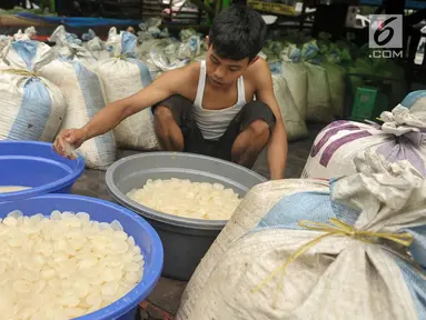 Pedagang memisahkan buah kolang-kaling yang akan dijual di Pasar Induk, Kramat Jati, Jakarta Timur, Jumat (2/6). Pada bulan Ramadan permintaan buah kolang-kaling naik hingga tiga kali lipat. (Liputan6.com/Yoppy Renato)