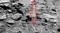 Citra visual diduga fosil ikan di Planet Mars. Foto : mars.jpl.nasa.gov