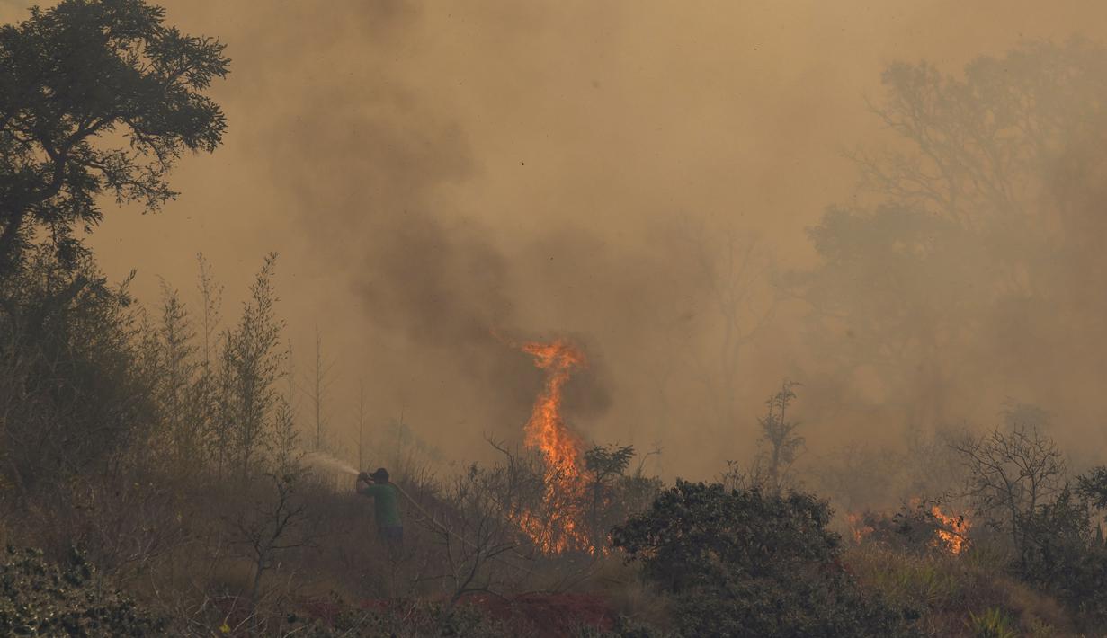Petugas damkar memadamkan api di Taman Juquery di Franco da Rocha, wilayah Sao Paulo, Brasil, Senin (23/8/2021). Otoritas setempat masih menyelidiki asal dari balon udara panas kertas ilegal yang mendarat dan menyebabkan kebakaran tersebut. (AP/Andre Penner)