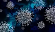 Ilustrasi virus Covid-19 yang merajalela di Indonesia. /pixabay.com Geralt