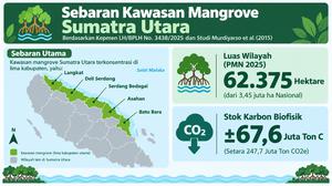 Mangrove Sumut Bernilai Tinggi, Mengapa Pasar Karbon Belum Bergerak?