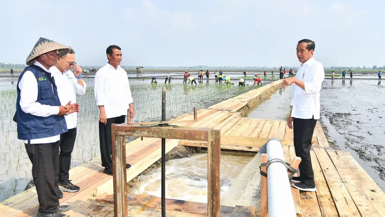 Presiden Tinjau Pompanisasi Kementan di Lampung Selatan