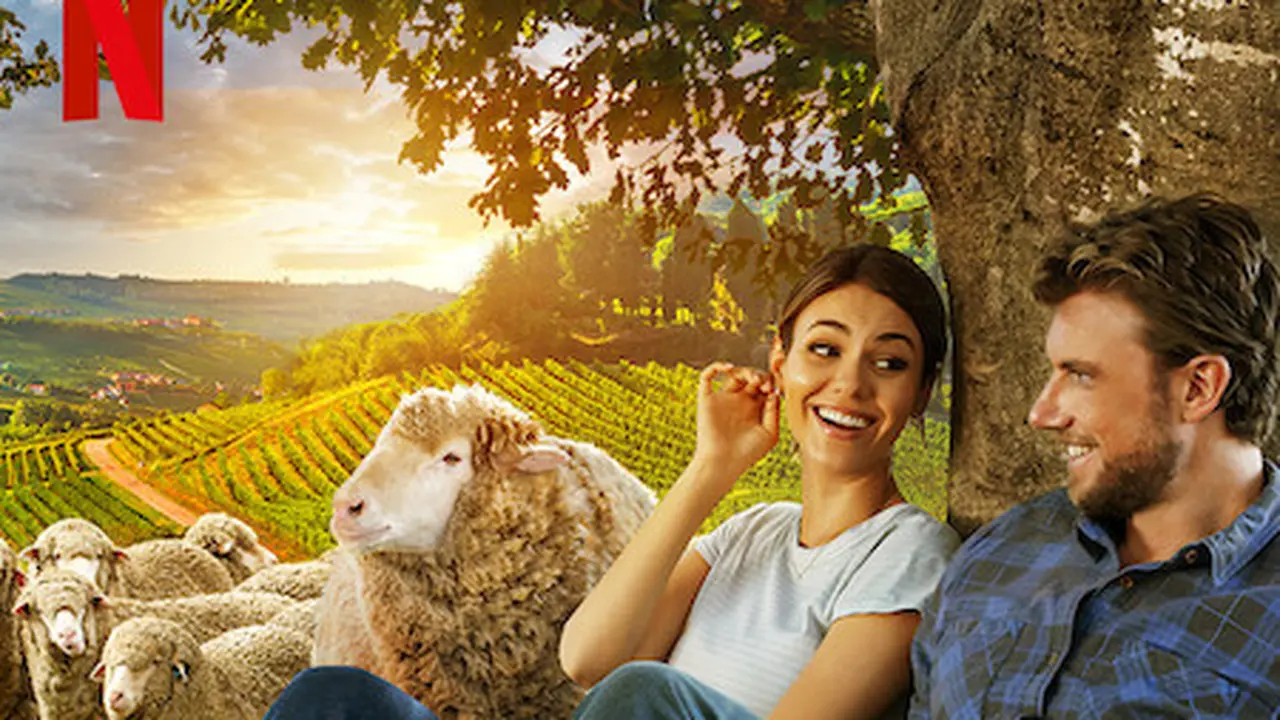 A Perfect Pairing. (Netflix)