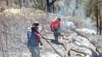 Kebakaran Gunung Arjuno Meluas
