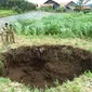 Sebuah lubang besar muncul di Dukuh Igirpandan RT 06/06, Kabupaten Brebes, Jawa Tengah. Sinkhole sedalam 15 meter dan memiliki diameter 7 meter ini muncul pada 5 Januari 2013 sekitar 200 meter dari pemukiman warga. (Istimewa)