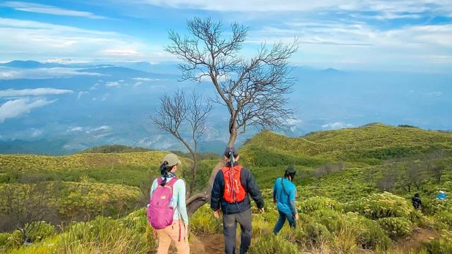 Gunung Ceremai di Jawa Barat merupakan gunung tertinggi