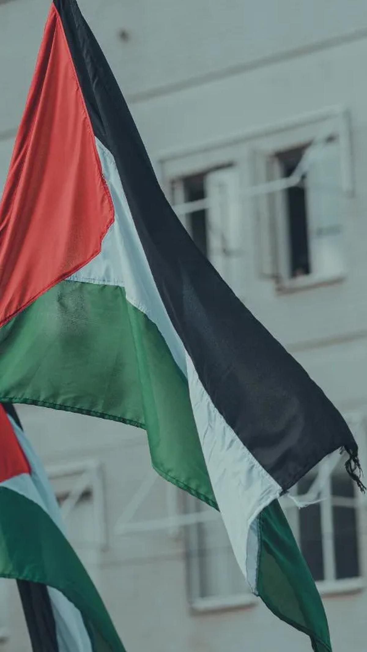 Berikut kumpulan makanan khas Palestina yang mendunia dan menggugah selera: