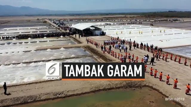 Presiden Joko Widodo meninjau operasional tambak garam di Desa Nunkurus, Kecamatan Kupang Timur, Provinsi Nusa Tenggara Timur (NTT) pada Rabu (21/8/2019).