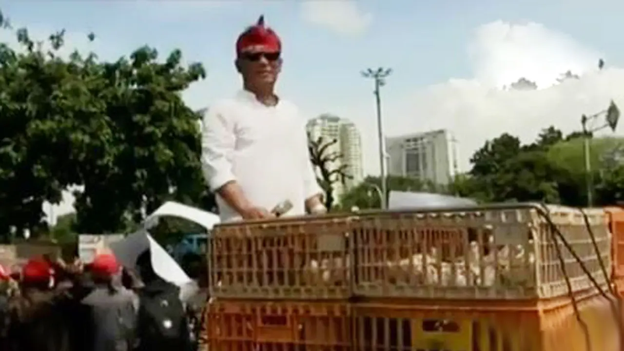 Peternak keluhkan harga ayam ke Presiden Jokowi 