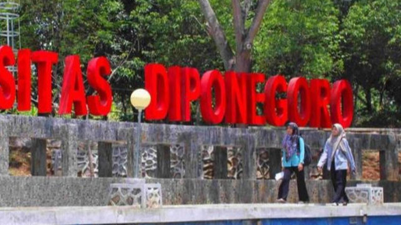 Undip