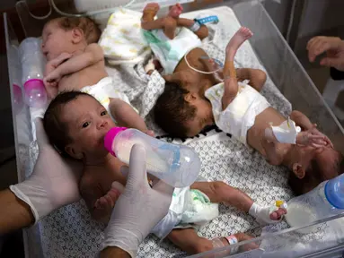 Petugas medis mempersiapkan bayi prematur untuk dibawa ke Mesir setelah mereka dievakuasi dari Rumah Sakit Al Shifa di Kota Gaza ke rumah sakit di Rafah, Jalur Gaza, Senin (20/11/2023). Layanan penyelamatan Bulan Sabit Merah Palestina mengatakan mereka mengevakuasi 28 bayi prematur melintasi perbatasan Mesir dalam sebuah operasi yang diselenggarakan dengan badan-badan PBB. (AP Photo/Fatima Shbair)