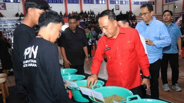 Kratom, tanaman endemik Kapuas Hulu, perlahan menjelma komoditas global