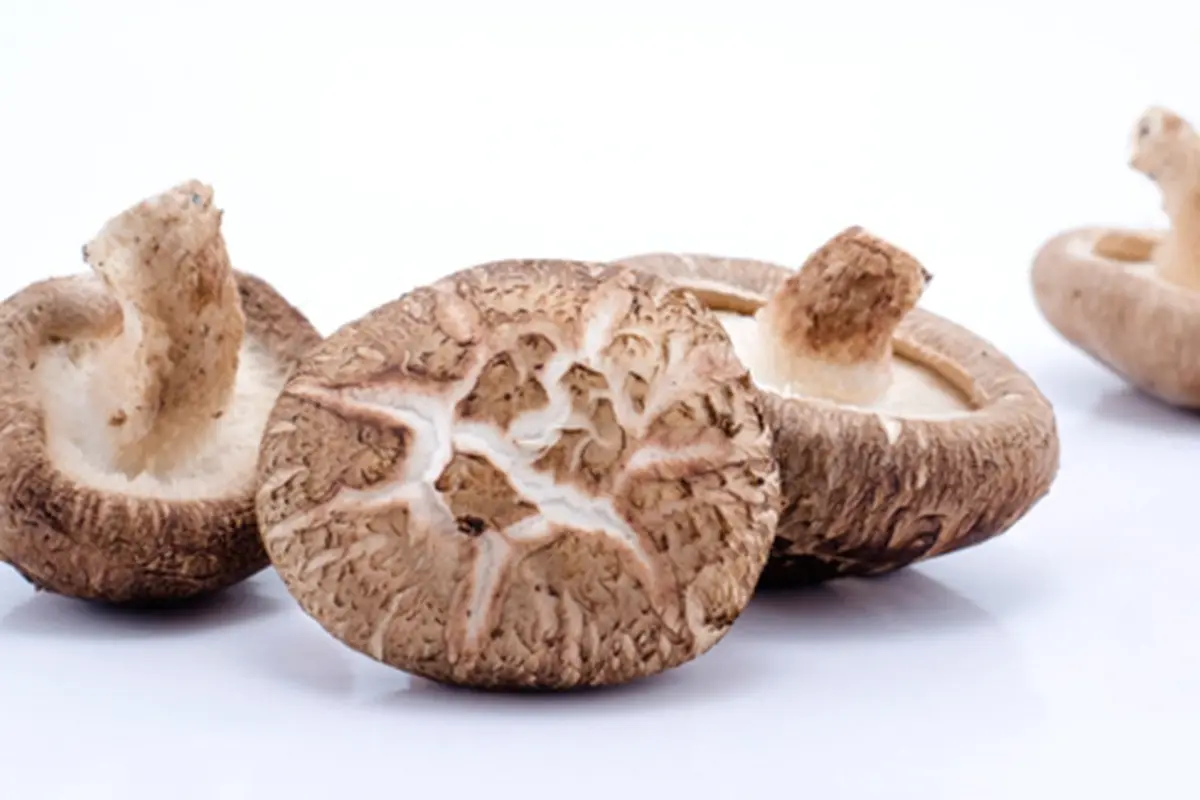 Foto: copyright by Thinkstock.com