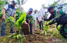 PWI Kudus Peringati HPN dengan Aksi Penghijauan, Tanam Ratusan Pohon di Pegunungan Muria