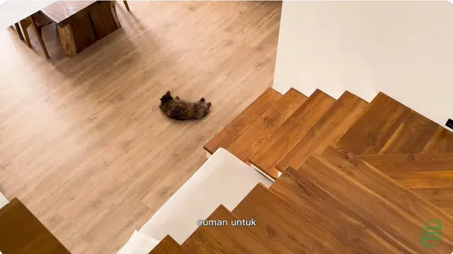 Bernuansa tropis elegan, begini 9 potret rumah Dahlia Poland dan Fandy Christian di Bali