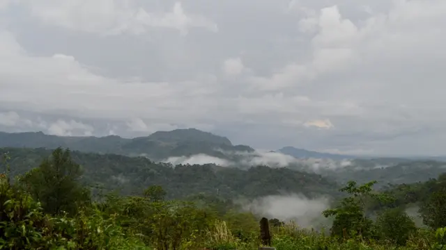 Kepahiang Kembangkan Kopi Premium Fine Robusta