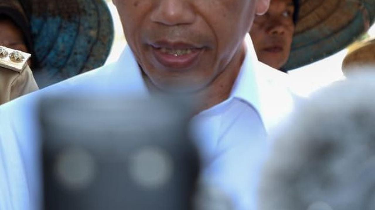 Jokowi Minta Aturan Kartu Tani Dibereskan, Kini Cukup Pakai KTP buat Dapat Pupuk Subsidi