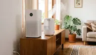 Bedanya Air Purifier dan Humidifier, Pahami Fungsi dan Cara Memilihnya agar Tak Salah Beli