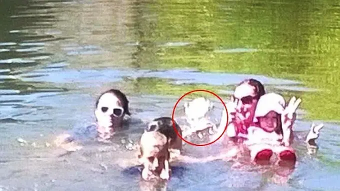 Photo: Copyright Dailymail.co.uk