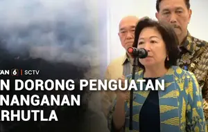 Rapat Bareng Presiden, DEN Dorong Penanganan Karhutla dan Dampak Asap