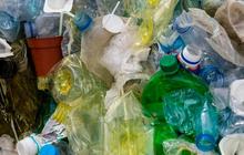 Ilmuwan Temukan Bahwa Kandungan Mikroplastik Sudah Mencemari Testis Manusia