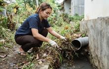 Cara Mencegah Tikus Masuk Lewat Celah Pipa Pembuangan Tanpa Panggil Tukang