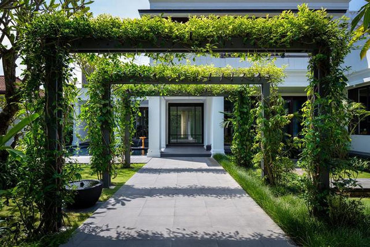 10 Model Tampak Depan Rumah Minimalis Asri dengan Tanaman Rambat, Bikin Hunian Teduh