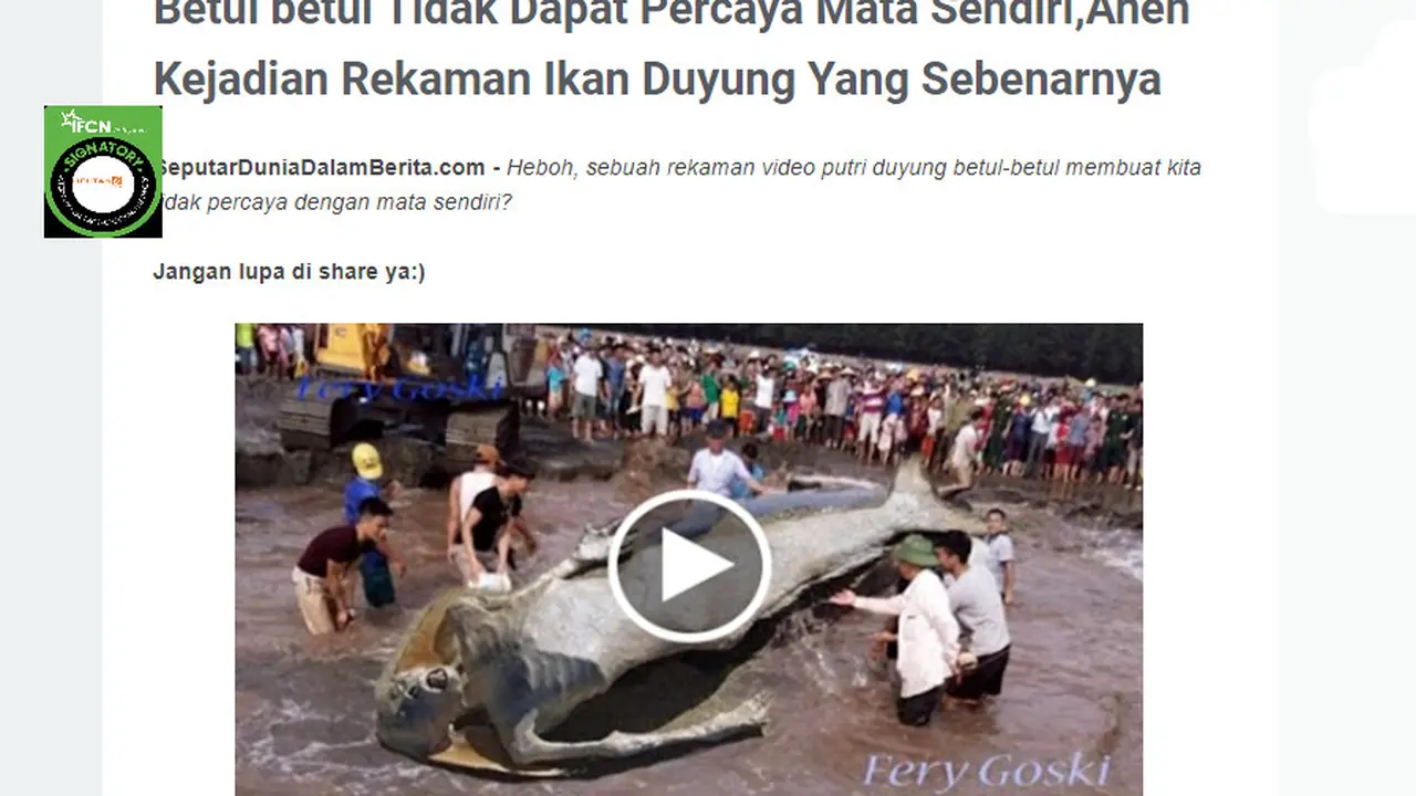 Cek Fakta Liputan6.com menelusuri informasi rekaman ikan duyung yang sebenarnya